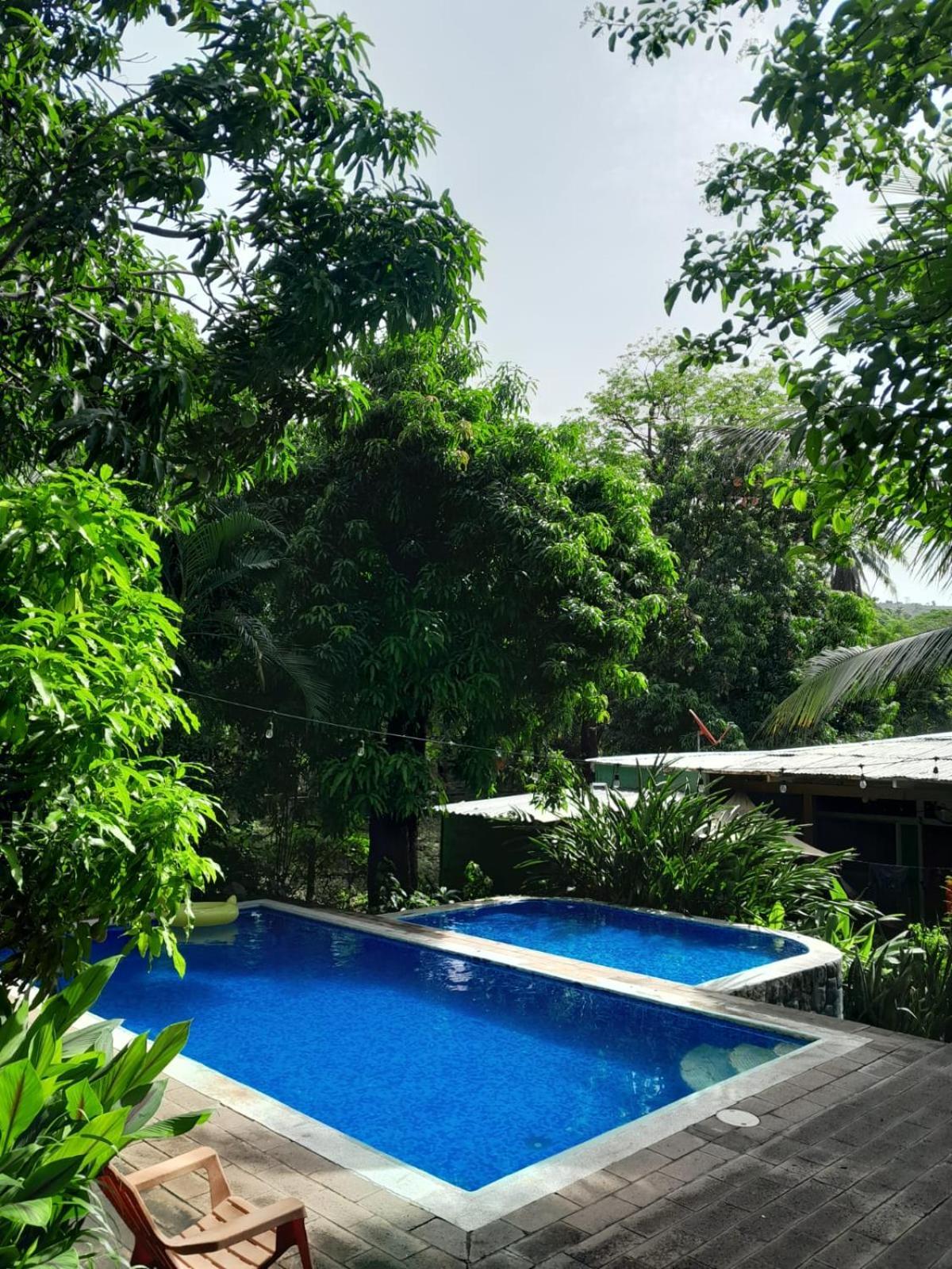 Hammock Plantation Daire El Zonte Dış mekan fotoğraf