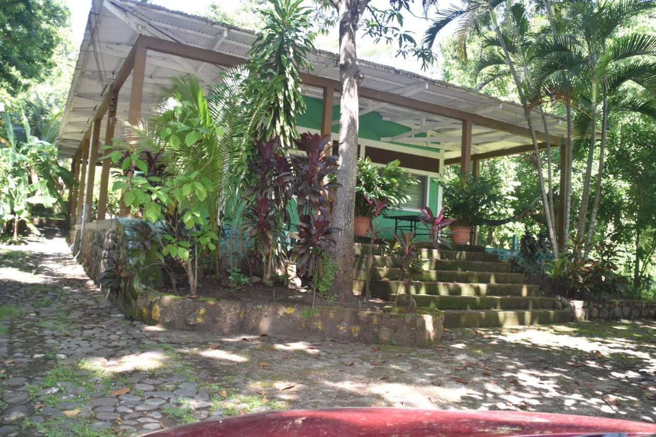 Hammock Plantation Daire El Zonte Dış mekan fotoğraf