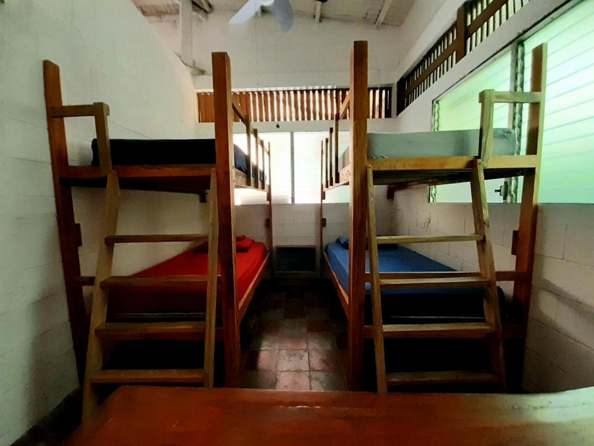 Hammock Plantation Daire El Zonte Dış mekan fotoğraf
